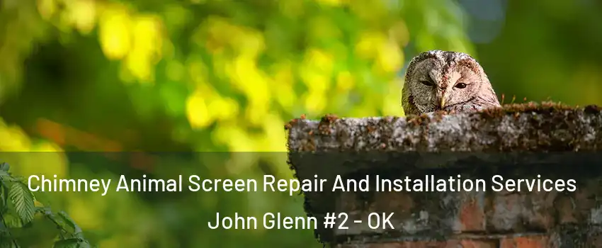 Chimney Animal Screen Repair And Installation Services John Glenn #2 - OK