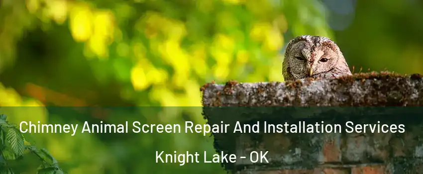 Chimney Animal Screen Repair And Installation Services Knight Lake - OK