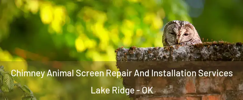Chimney Animal Screen Repair And Installation Services Lake Ridge - OK