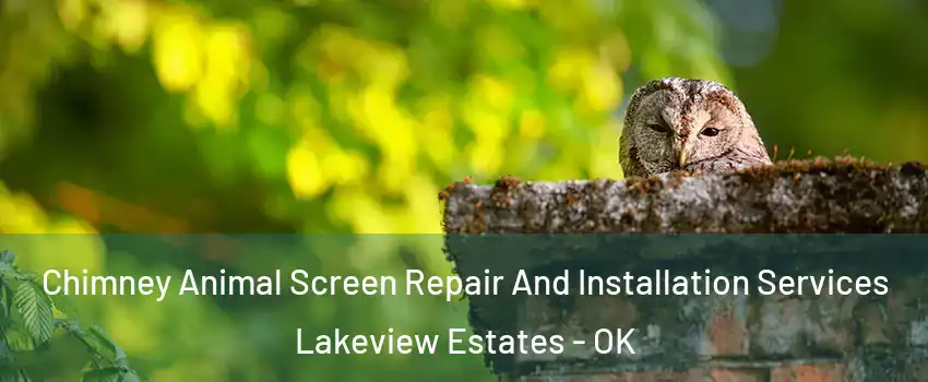 Chimney Animal Screen Repair And Installation Services Lakeview Estates - OK