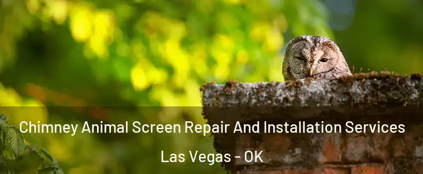 Chimney Animal Screen Repair And Installation Services Las Vegas - OK