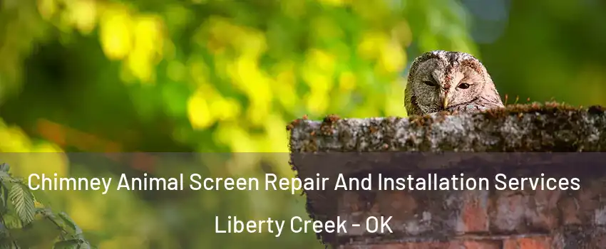 Chimney Animal Screen Repair And Installation Services Liberty Creek - OK