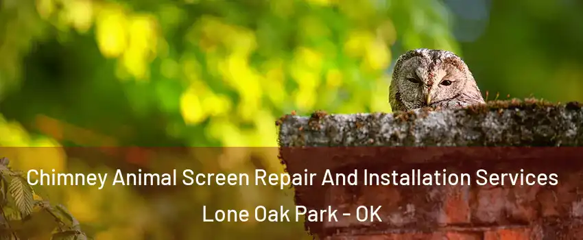 Chimney Animal Screen Repair And Installation Services Lone Oak Park - OK