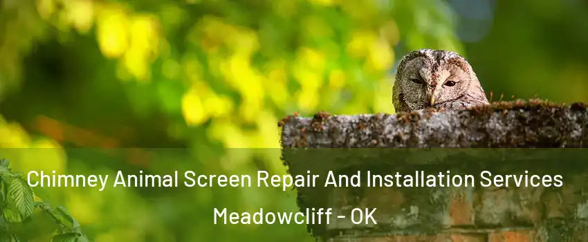 Chimney Animal Screen Repair And Installation Services Meadowcliff - OK