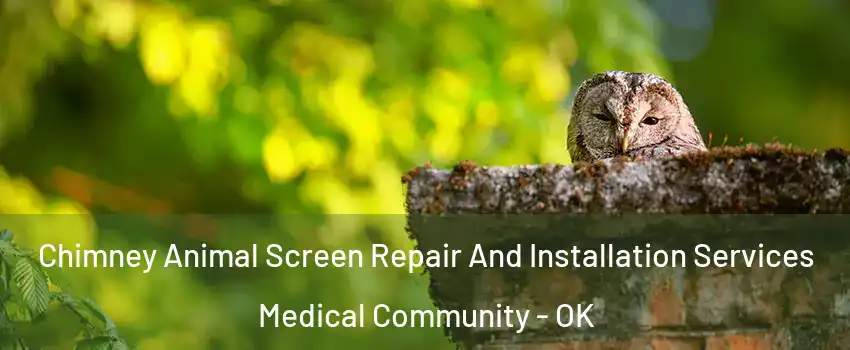 Chimney Animal Screen Repair And Installation Services Medical Community - OK