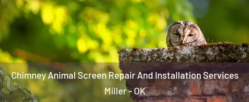 Chimney Animal Screen Repair And Installation Services Miller - OK