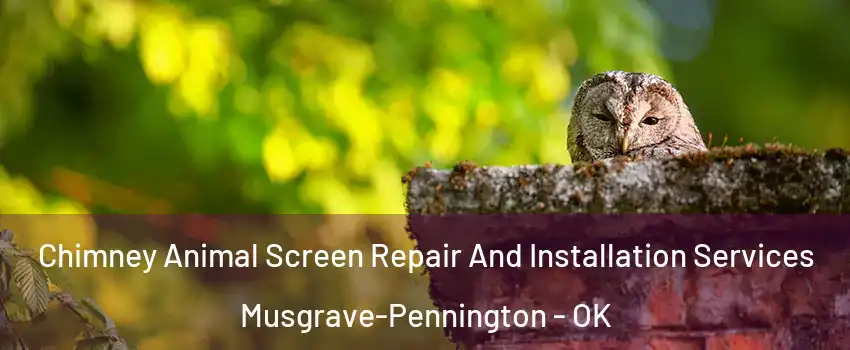 Chimney Animal Screen Repair And Installation Services Musgrave-Pennington - OK