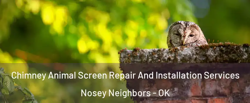 Chimney Animal Screen Repair And Installation Services Nosey Neighbors - OK