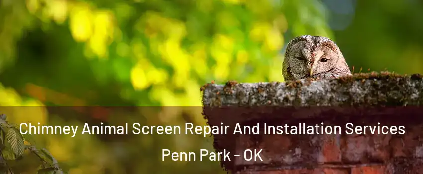 Chimney Animal Screen Repair And Installation Services Penn Park - OK
