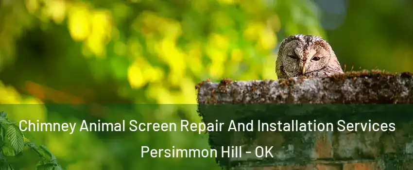 Chimney Animal Screen Repair And Installation Services Persimmon Hill - OK
