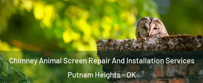 Chimney Animal Screen Repair And Installation Services Putnam Heights - OK