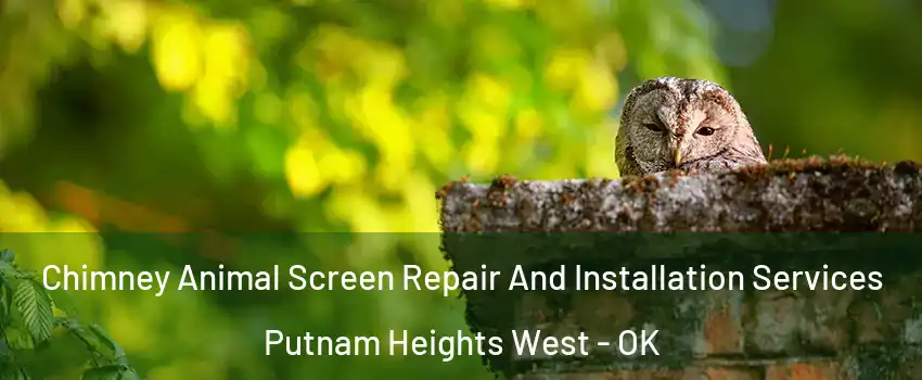 Chimney Animal Screen Repair And Installation Services Putnam Heights West - OK