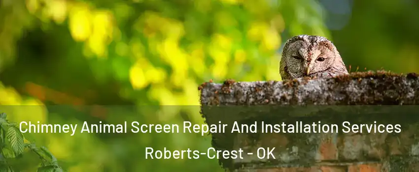 Chimney Animal Screen Repair And Installation Services Roberts-Crest - OK