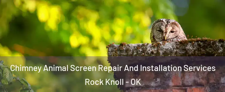 Chimney Animal Screen Repair And Installation Services Rock Knoll - OK