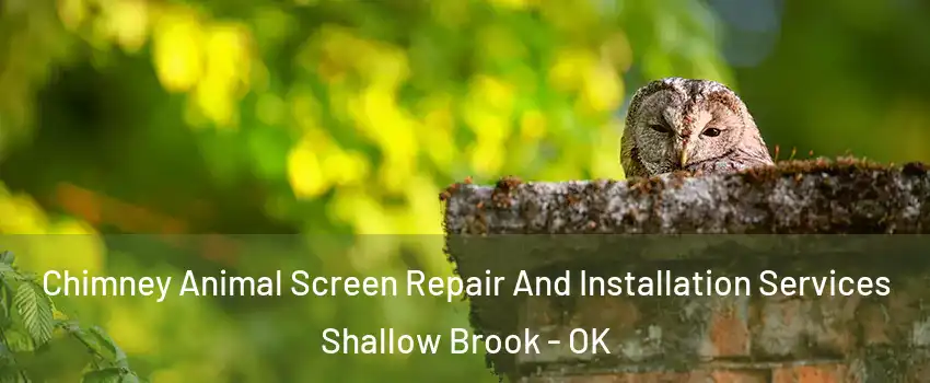 Chimney Animal Screen Repair And Installation Services Shallow Brook - OK
