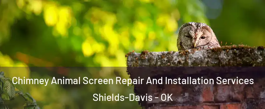 Chimney Animal Screen Repair And Installation Services Shields-Davis - OK