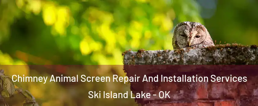 Chimney Animal Screen Repair And Installation Services Ski Island Lake - OK