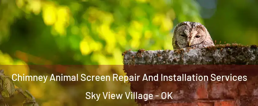 Chimney Animal Screen Repair And Installation Services Sky View Village - OK
