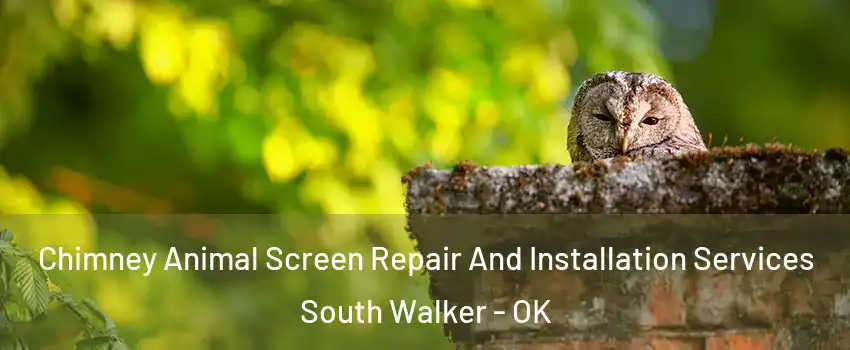 Chimney Animal Screen Repair And Installation Services South Walker - OK