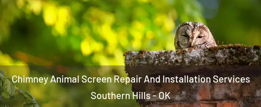 Chimney Animal Screen Repair And Installation Services Southern Hills - OK