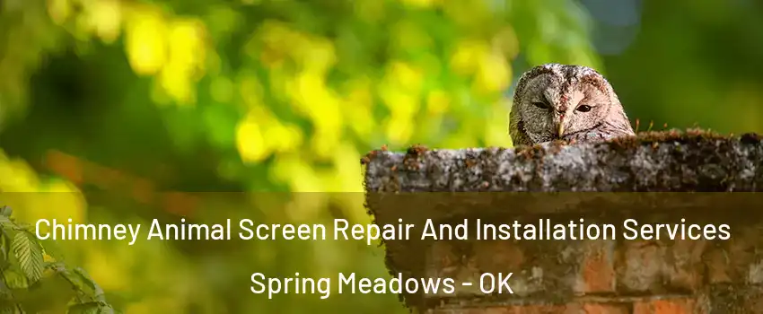 Chimney Animal Screen Repair And Installation Services Spring Meadows - OK