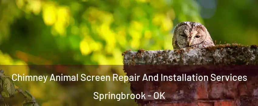 Chimney Animal Screen Repair And Installation Services Springbrook - OK