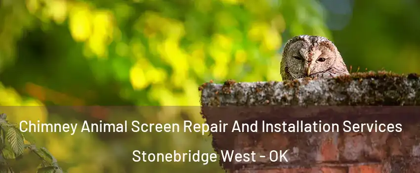 Chimney Animal Screen Repair And Installation Services Stonebridge West - OK