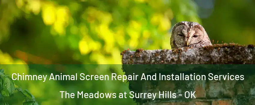 Chimney Animal Screen Repair And Installation Services The Meadows at Surrey Hills - OK