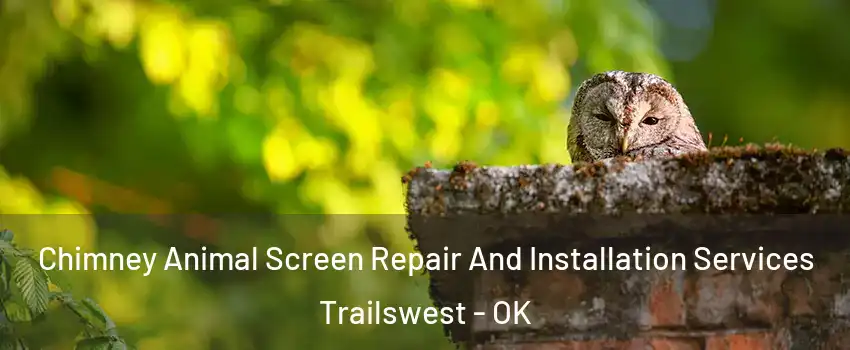 Chimney Animal Screen Repair And Installation Services Trailswest - OK