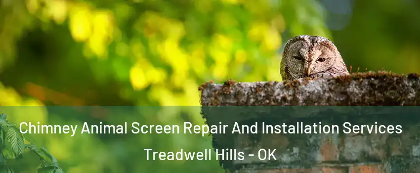Chimney Animal Screen Repair And Installation Services Treadwell Hills - OK