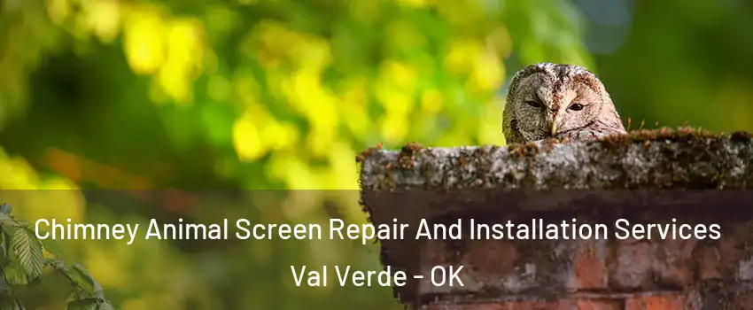 Chimney Animal Screen Repair And Installation Services Val Verde - OK