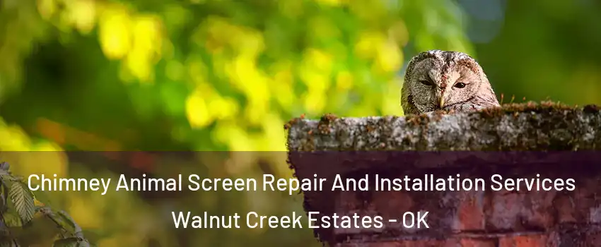 Chimney Animal Screen Repair And Installation Services Walnut Creek Estates - OK