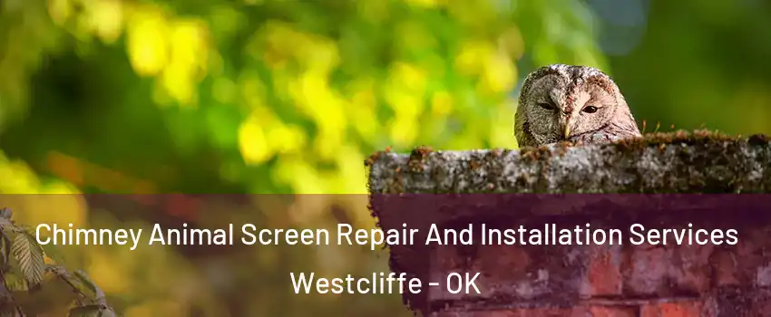 Chimney Animal Screen Repair And Installation Services Westcliffe - OK