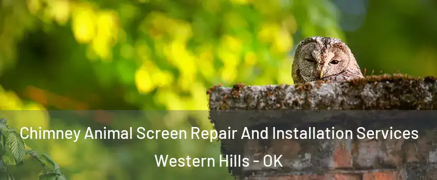 Chimney Animal Screen Repair And Installation Services Western Hills - OK
