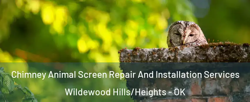 Chimney Animal Screen Repair And Installation Services Wildewood Hills/Heights - OK
