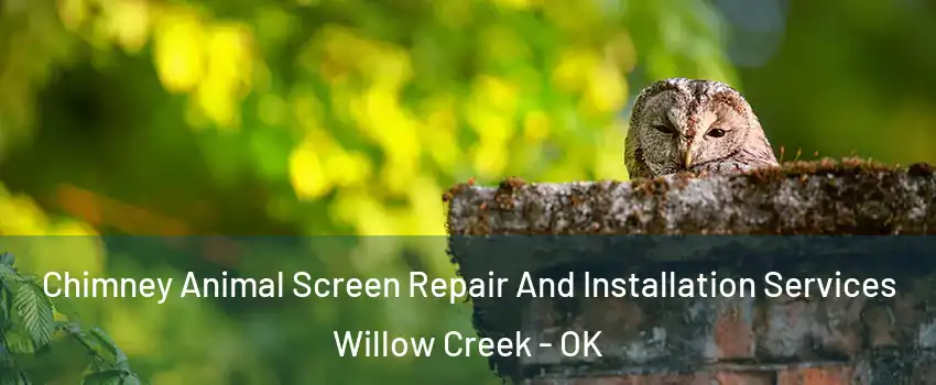 Chimney Animal Screen Repair And Installation Services Willow Creek - OK