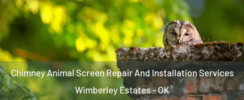 Chimney Animal Screen Repair And Installation Services Wimberley Estates - OK