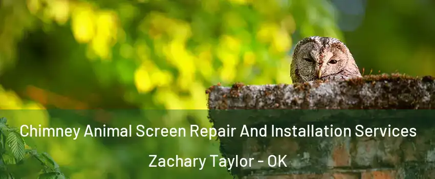 Chimney Animal Screen Repair And Installation Services Zachary Taylor - OK