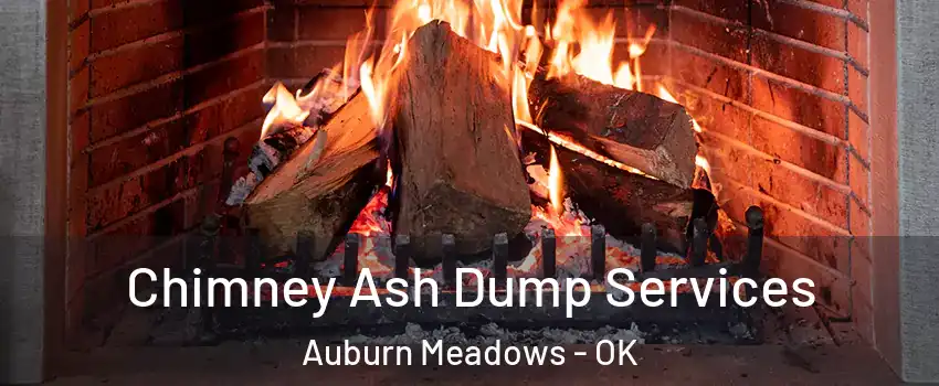 Chimney Ash Dump Services Auburn Meadows - OK