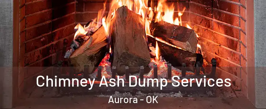 Chimney Ash Dump Services Aurora - OK
