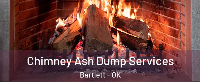 Chimney Ash Dump Services Bartlett - OK