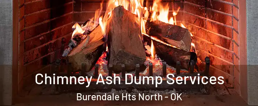 Chimney Ash Dump Services Burendale Hts North - OK