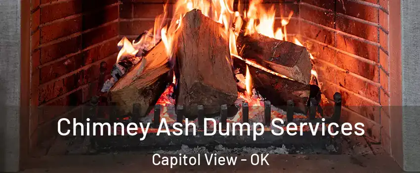Chimney Ash Dump Services Capitol View - OK