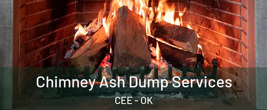 Chimney Ash Dump Services CEE - OK