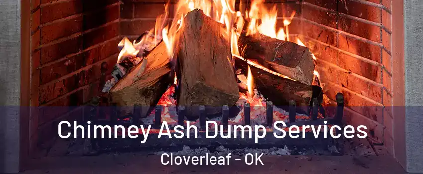 Chimney Ash Dump Services Cloverleaf - OK