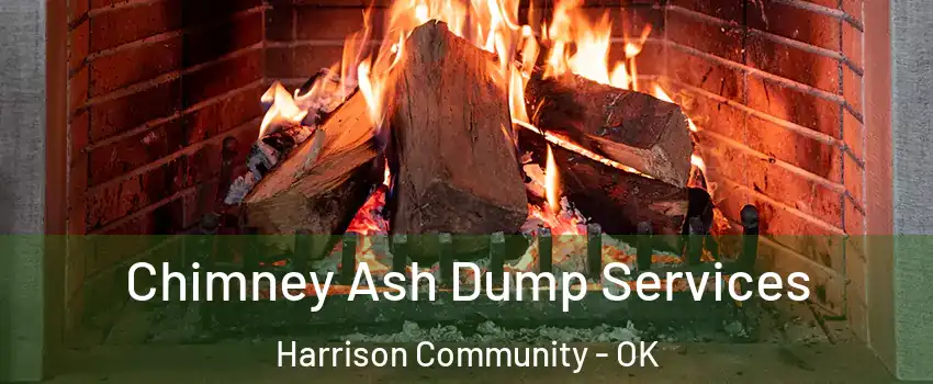 Chimney Ash Dump Services Harrison Community - OK