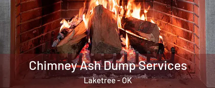 Chimney Ash Dump Services Laketree - OK