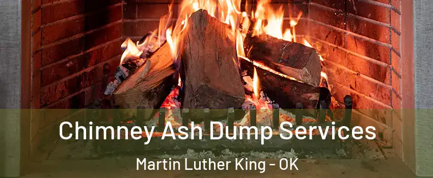Chimney Ash Dump Services Martin Luther King - OK