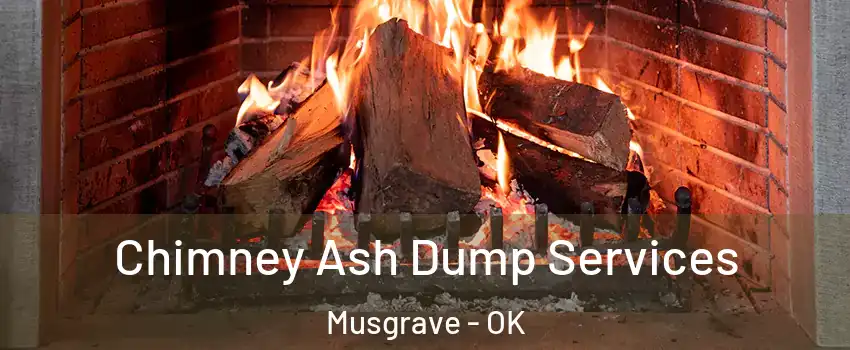 Chimney Ash Dump Services Musgrave - OK