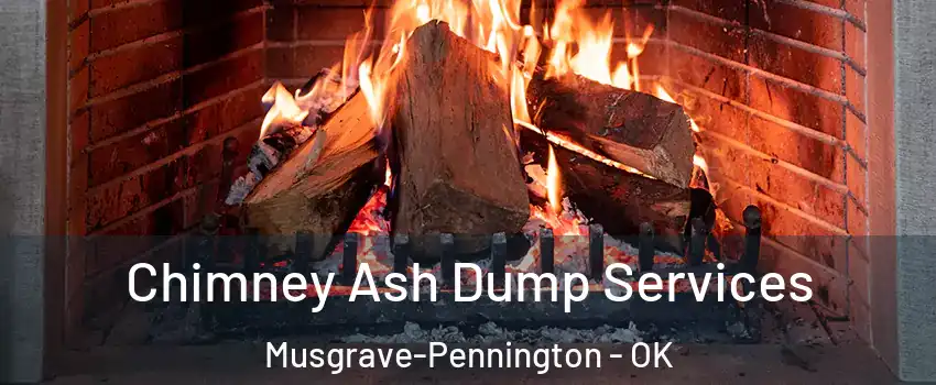 Chimney Ash Dump Services Musgrave-Pennington - OK